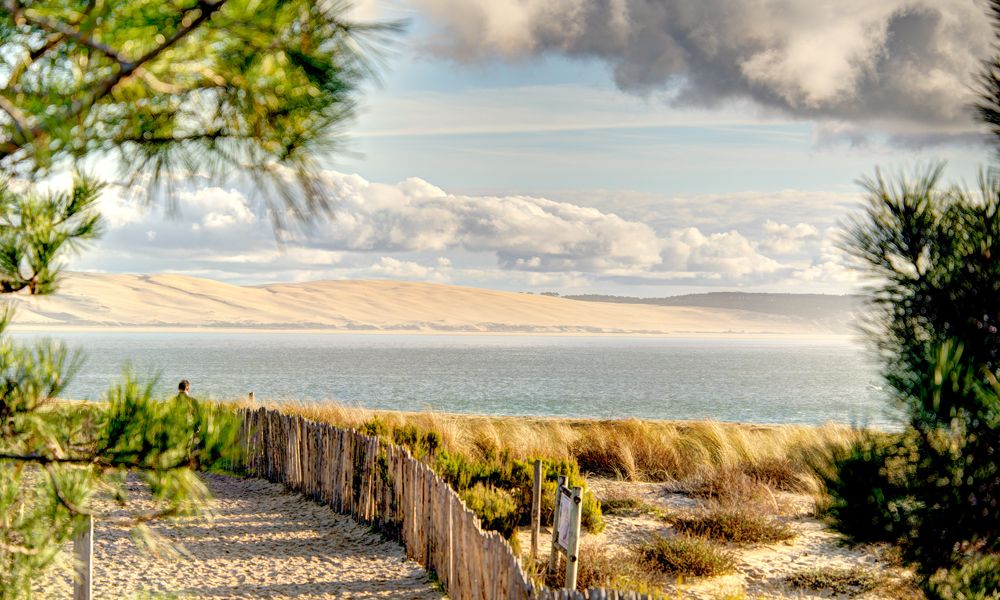 Küstenlandschaft mit Sanddünen, Strandhafer, Holzzaun und Blick auf das Meer unter bewölktem Himmel