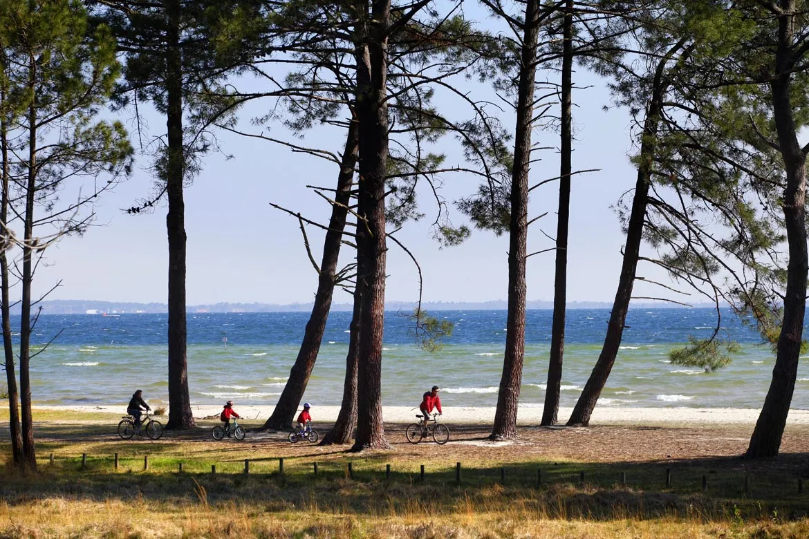 Les landes