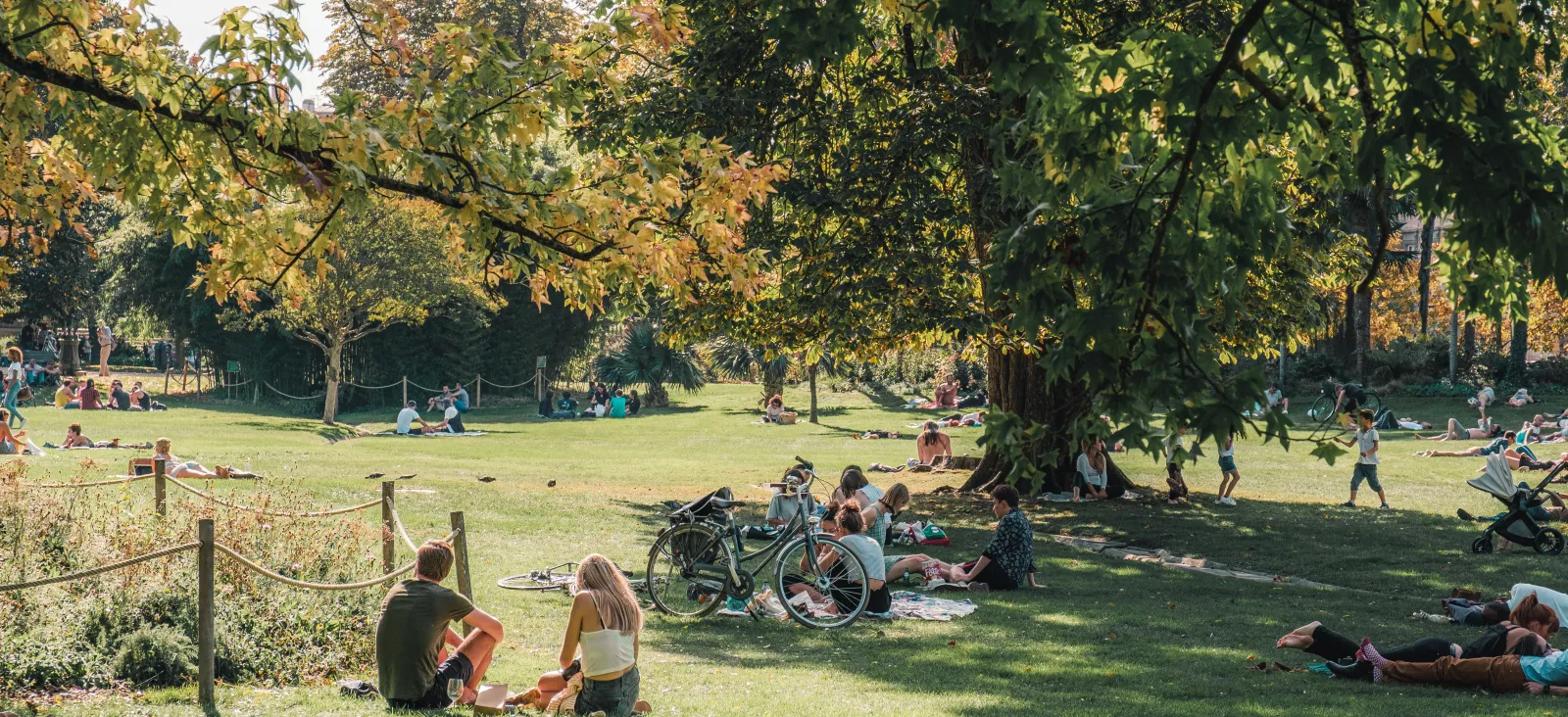 Teddy Verneuil - @lezbroz Jardin Public