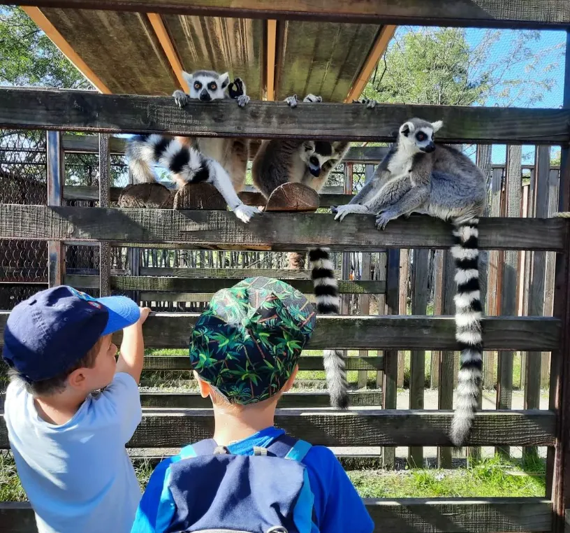 Zoo Kinder Bordeaux