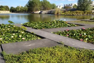 Wasserbecken im Botanischen Garten Bordeaux Bastide mit weißen und rosa Seerosen in Pflanzgefäßen, mit Blick auf die Garonne